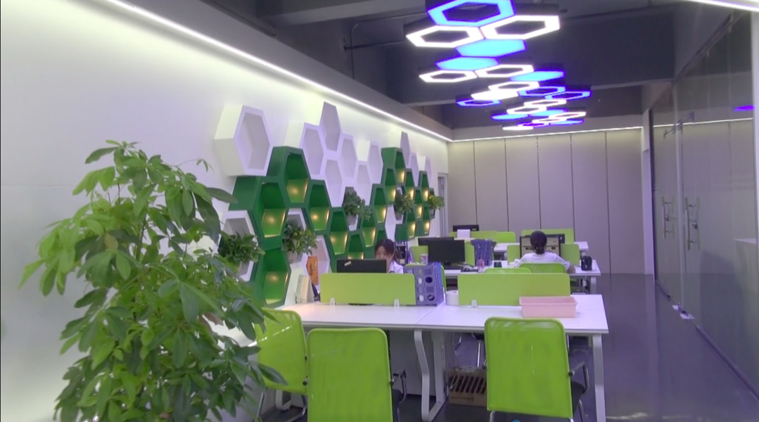 CHINA Shenzhen Xinhe Lighting Optoelectronics Co., Ltd. Perfil de la compañía