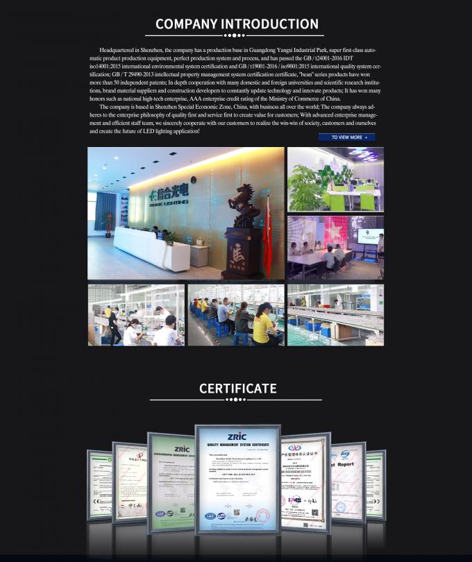 La luz de la banda IP65 se combina con lentes ópticas, creando un aspecto grandioso y hermoso 6