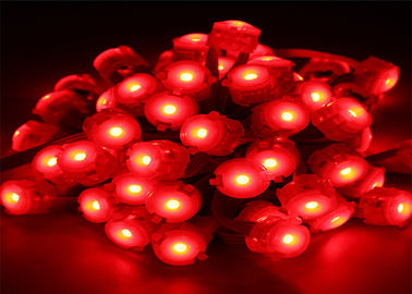 El pixel impermeable del rojo de 0.25W 20m m llevó la luz de voltio LED de la iluminación 12