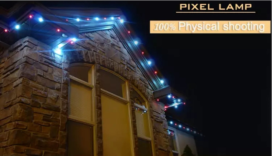 El pixel permanente Rgb RGBW del parque de atracciones de las luces de la Navidad de la luz WS2811 2904 Ic del día de fiesta 30m m llevó la luz del punto