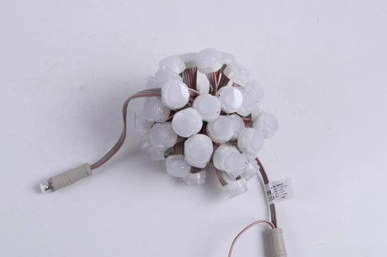 IP67 23mm LED Point Light with RGB Color for Outdoor Environments