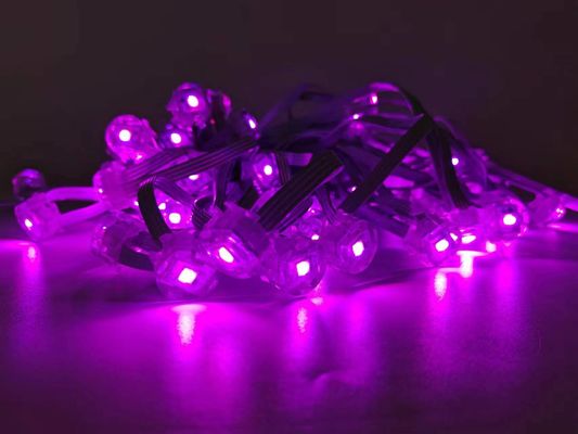 RGBW Color Changing App Smart Led Pixel Point Lighting Outdoor Christmas Lights