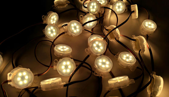 IP67 LED Point Light Source 6LEDs/pcs Warm White Color with Changeable Emitting Copper Lamp Body Used in Park Building