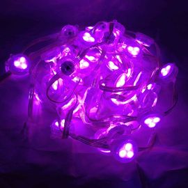 módulo a todo color del pixel de 30m m DC12V RGB LED con el control DMX512