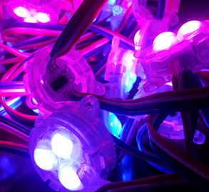 30m m SMD 5050 12V rgb llevaron el pixel con a todo color-----11 años que fabrican experiencia