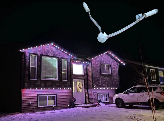 Luz permanente 1903/2904 del día de fiesta de la Navidad de IC de la prenda impermeable de la luz 20m m del punto del día de fiesta LED