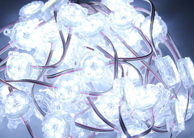Pixel blanco de la muestra DC24V LED de los microprocesadores IP67 6 LED del RGB 30m m para la caja de iluminación