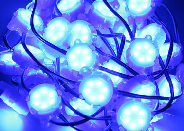 El punto azul impermeable de Epistar SMD 5050 RGB 30m m llevó al aire libre ligero