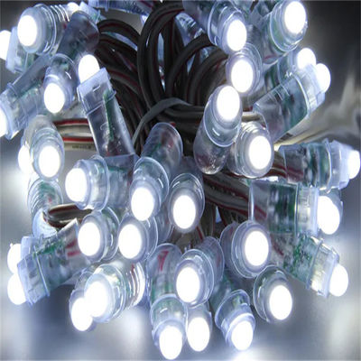 WS2811 RGB Pixel LED String Lights 5V 12V Programmable 12mm Smart Full Color Pixel LED