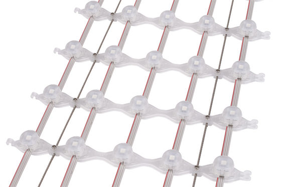 Outdoor Full-Color LED Advertising Display Screen with 31mm Pixels and DMX512 Control