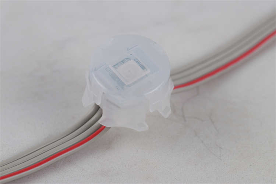 La haba del milagro llevó la luz al aire libre DC12V IP67 0.3W RGB a todo color del pixel del punto