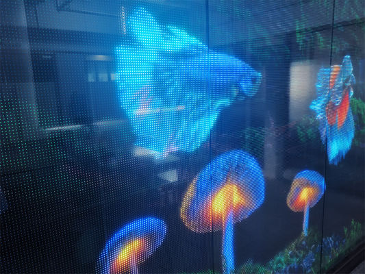 P16 DC5V RGB Color LED Película transparente para instalación en interiores