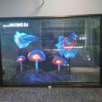 Display de película LED transparente para interiores de color completo Pantalla LED transparente flexible