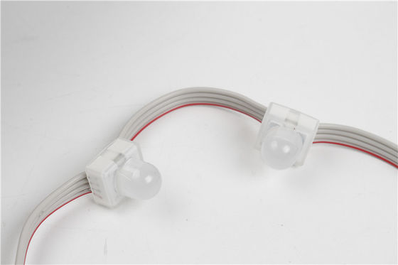 SMD5050 IP67 DC12V 0.3W Luz de píxeles LED de color único impermeable