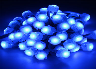 Luz azul del pixel de IP67 0.25W DC12V 5050 20m m LED con ángulo de haz 120