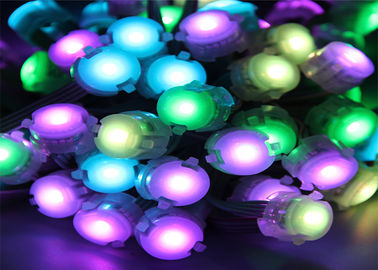 Color claro direccionable programable del punto de 20m m LED que cambia DMX512