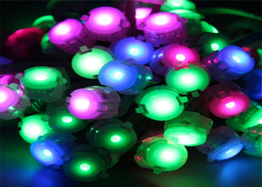 Luz impermeable del pixel de IP67 5050 a todo color DC12V 20m m LED con DMX IC