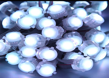 Modificado para requisitos particulares 1 pixel blanco LED del color 20m m de la luz del punto del microprocesador 5050 0.25w LED solo