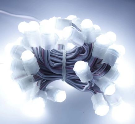 luz LED blanca de exterior resistente al agua 50 Leds DC 12V 9mm LED luz de cadena de píxeles