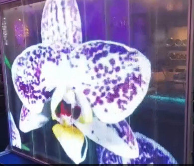 Flexible adhesivo de transparencia de película LED pantalla delgada de publicidad pared de video P6DC5V WE2121RGB 16 bits