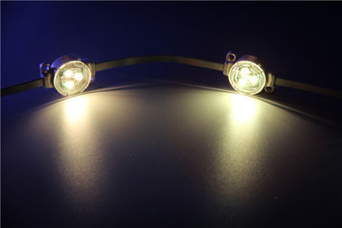 Luz impermeable del punto de IP67 5050 SMD RGB 3pcs LED 30000 horas de vida útil