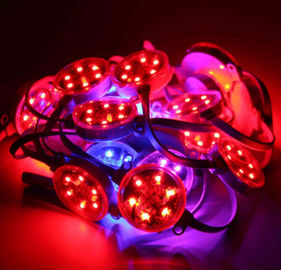 Prenda impermeable llevada RGB al aire libre del pixel IP67 de 40m m 50m m SMD3535 DMX Digitaces