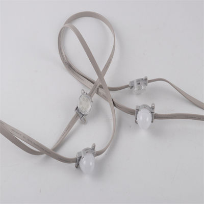 Por mayor 24V SMD3535 IP67 Single And RGB Color Changing Programmable LED Pixel Chain Light con controlador