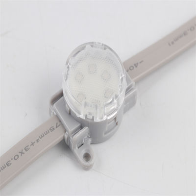 Venta caliente IP67 resistente al agua RGB LED luz de cuerda WiFi Aplicación controlada Holiday Garden Point