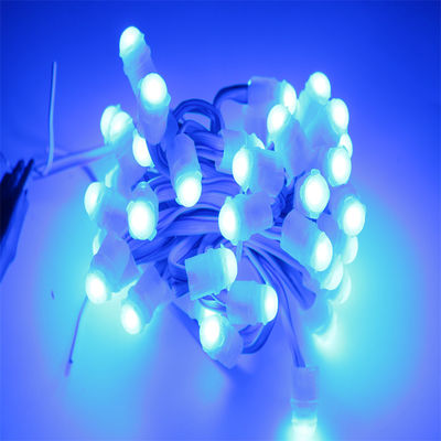 Buen precio IP67 resistente al agua luz LED Pixel DC12V 0.2 W con ángulo de visión de 160° y 30 000 horas de vida útil