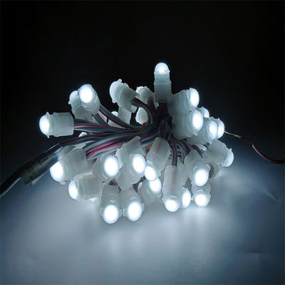 Buen precio IP67 impermeable LED luz de píxeles DC12V 0.2W con 30000 horas de vida útil Decoración exterior cambiable