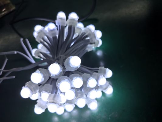 Lámparas puntuales de PVC de 9 cm Fuente LED colorida y control SPI para aplicaciones de paisaje