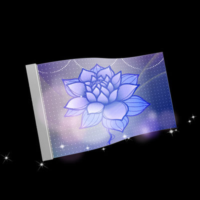 P10 Pantalla de película transparente LED flexible de 960 mm*240 mm con tipo de instalación colgante
