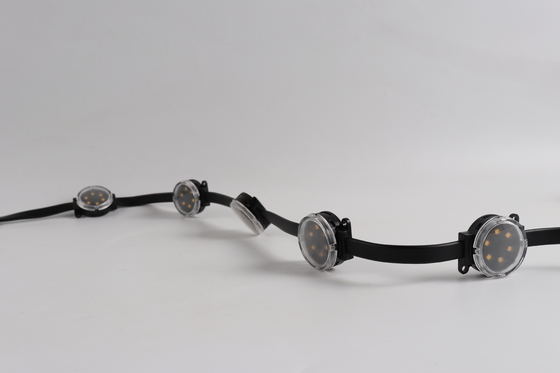Luz de punto de píxel LED de bajo voltaje DC24V Iluminación direccionable para edificios exteriores Iluminación paisajística