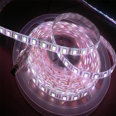 Productos de iluminación multifunción de alta luminosidad de 5050 RGBW de placa de PCB flexible de FPC 5000*12*4.0mm DC24V luz de banda LED