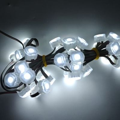 Customizable RGB 20mm LED Point Light for Outdoor Decoration with IP67 Waterproof Rating