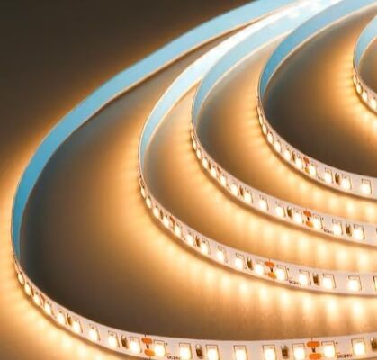 Precio de fábrica Luz de banda LED exterior DC24V Luz de alta calidad Flexible Neon Strip Neon Led Strip