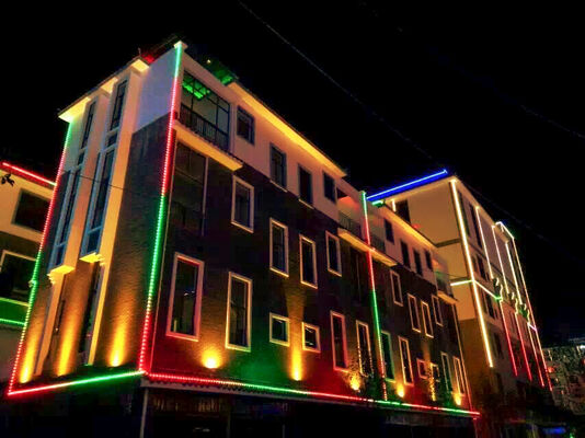 Controlador Wifi inteligente resistente al agua IP67 RGBW 12V 30mm Lámpara de paisaje de luz decorativa programable