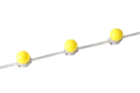 40 mm IP67 resistente al agua DC 24V LED Globe Light para iluminación arquitectónica al aire libre