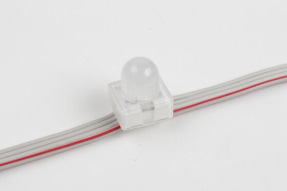 Luz de punto LED de 12 mm RGB SMD5050 IP67 DC5V A través del agujero Luz de pixel de anclaje con ángulo de haz de 160