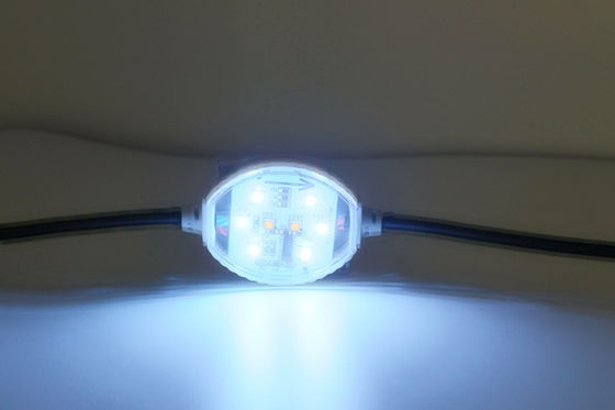 120° pixel del ángulo 1.5W 24V 60m m IP65 RGBW LED
