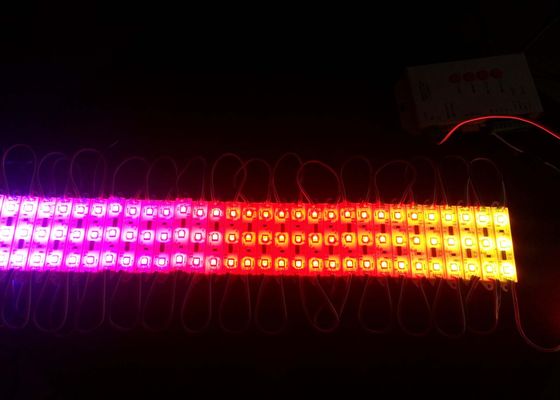 Módulo LED RGB SMD2835 con clasificación IP65, 150 lúmenes, 1.5W, DC12V para señalización exterior