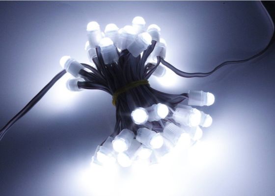 El pixel del punto de la haba 0.2w 16lm LED del milagro enciende 9m m 12v IP67
