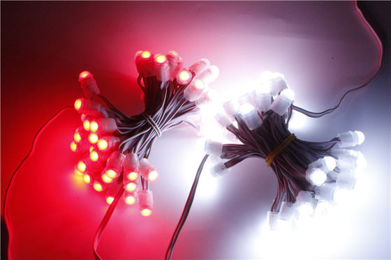 El pixel impermeable LED de SMD2025 12V IP67 enciende 0.15W 9m m