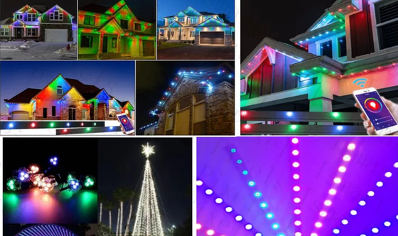 2904 RGBW llevaron la secuencia impermeable al aire libre ligera 1903 de la luz del punto IP67 RGB LED